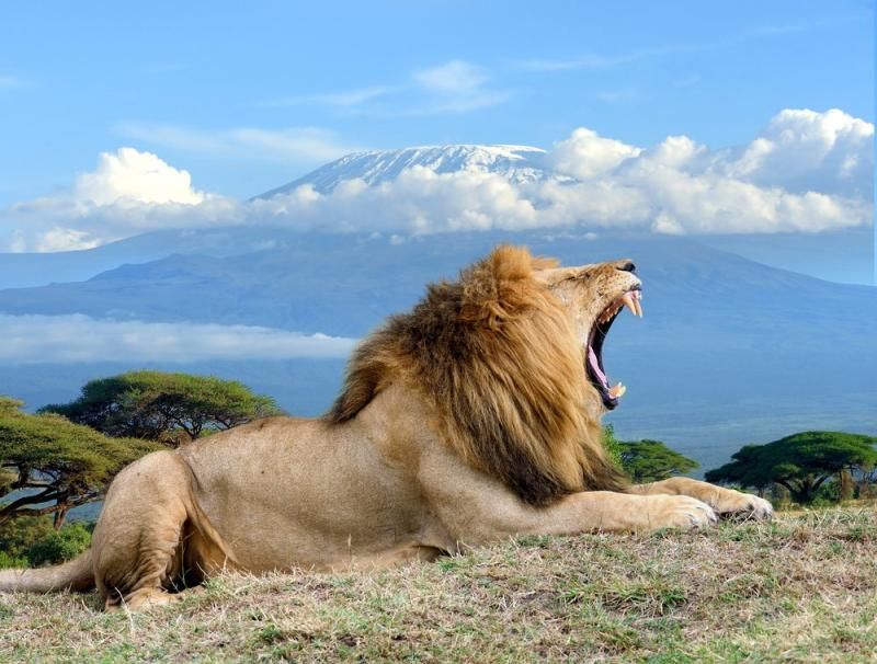 3 Day Amboseli Safari From Nairobi