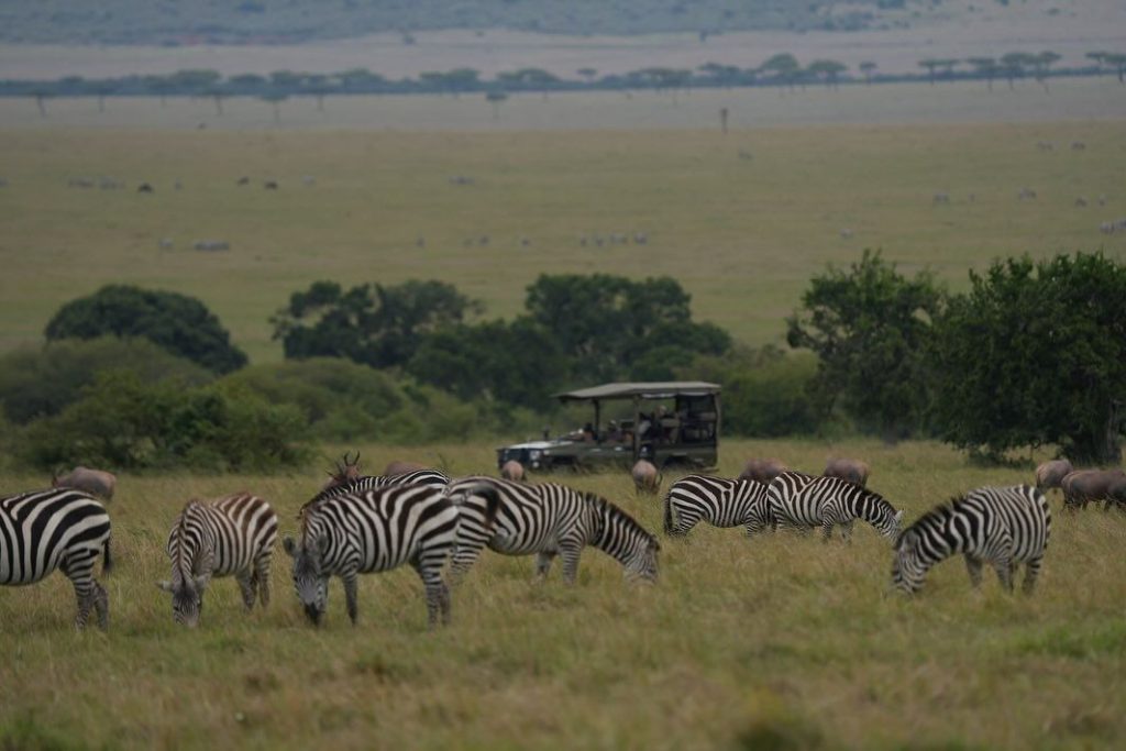 full day Mombasa city tour with Fort Jesus and Haller Park