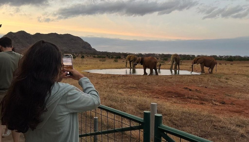 4 Day Tsavo East, Amboseli and Taita Hills Safari From Diani Beach