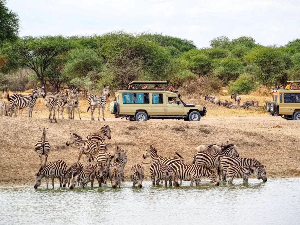 4 day Tsavo East Amboseli Taita Hills safari from Diani Beach