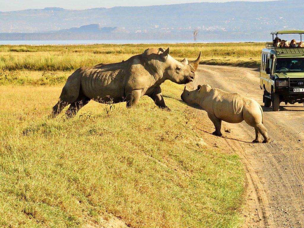 Kenya safari scenery
