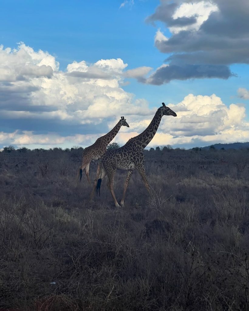 3 Day Tsavo East and Taita Hills Safari From Diani Beach
