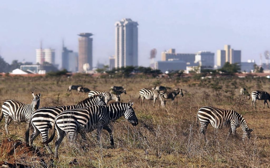 Nairobi National Park safari landscape
