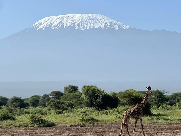 4 Day Tsavo East, Amboseli and Taita Hills Safari From Diani Beach