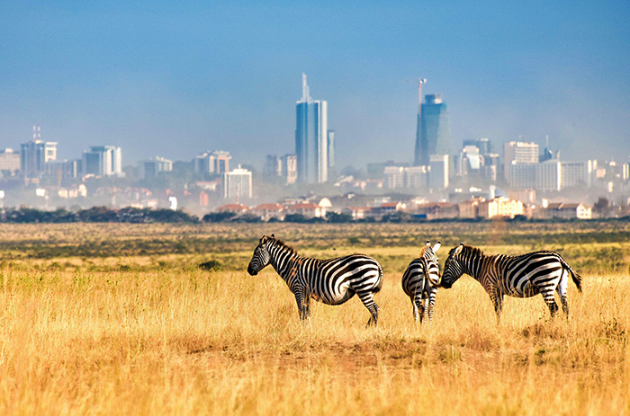 Full Day Nairobi National Park, Giraffe Centre and Karen Blixen Museum Tour