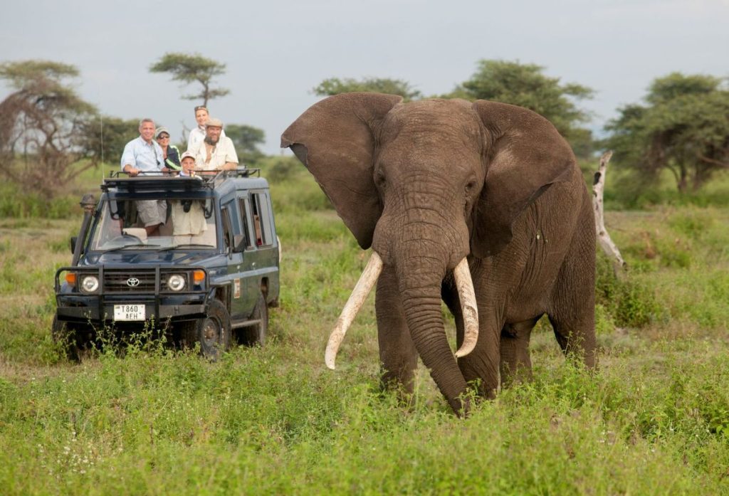 7 day Amboseli Tsavo West Taita Hills safari