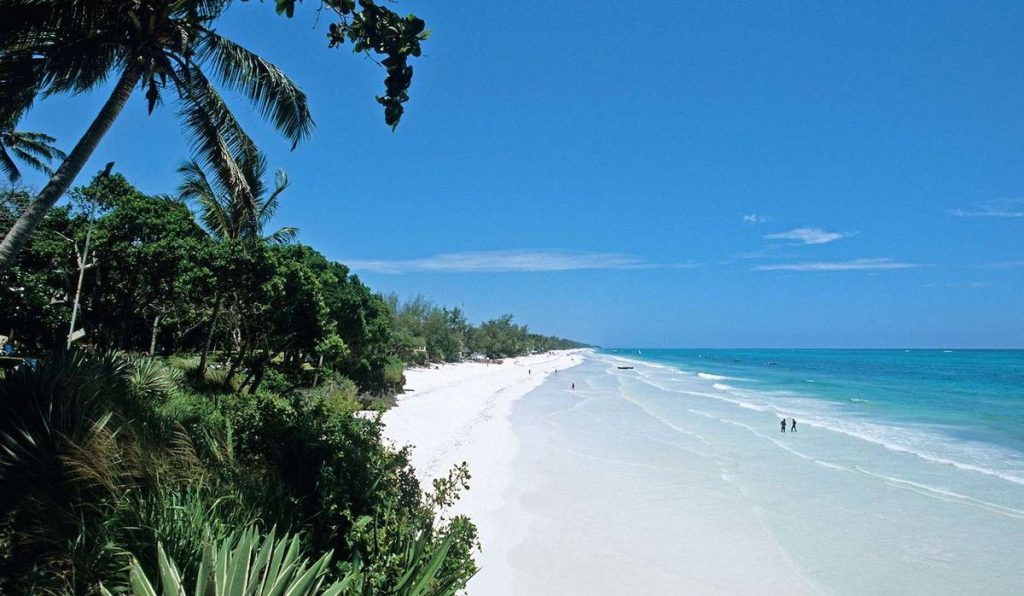 Mombasa safari scenery