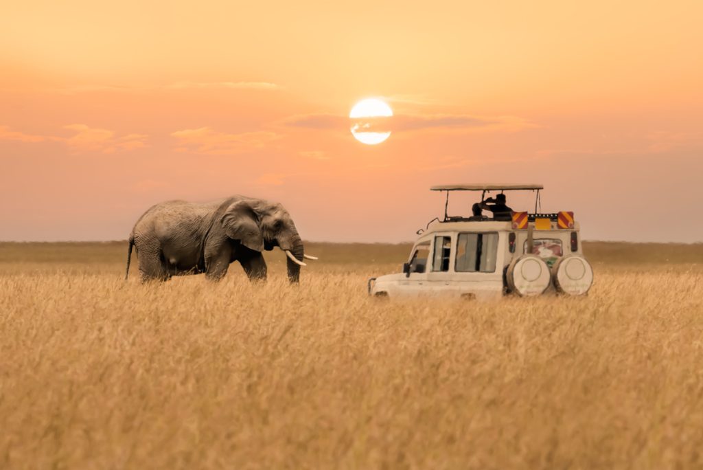 Masai Mara safari planning