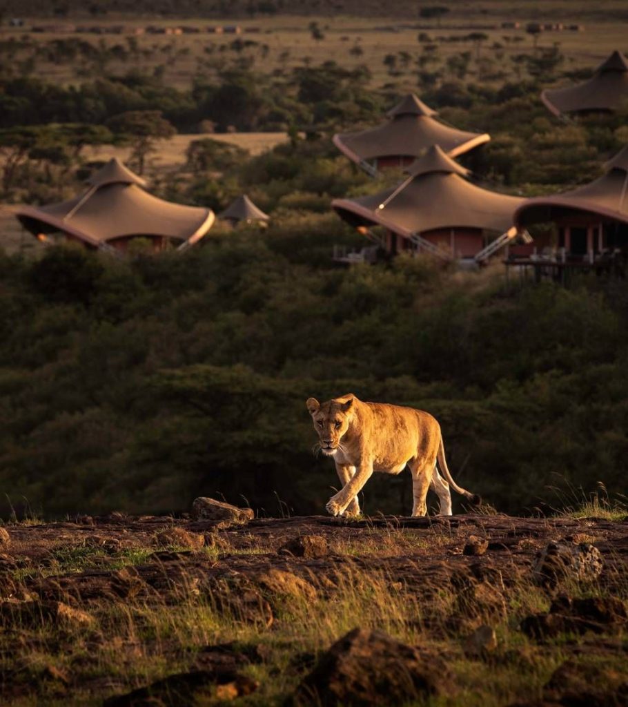 Masai Mara safari planning