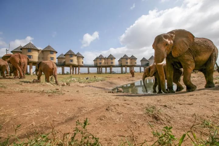 3 Day Tsavo East and Taita Hills Safari From Mombasa