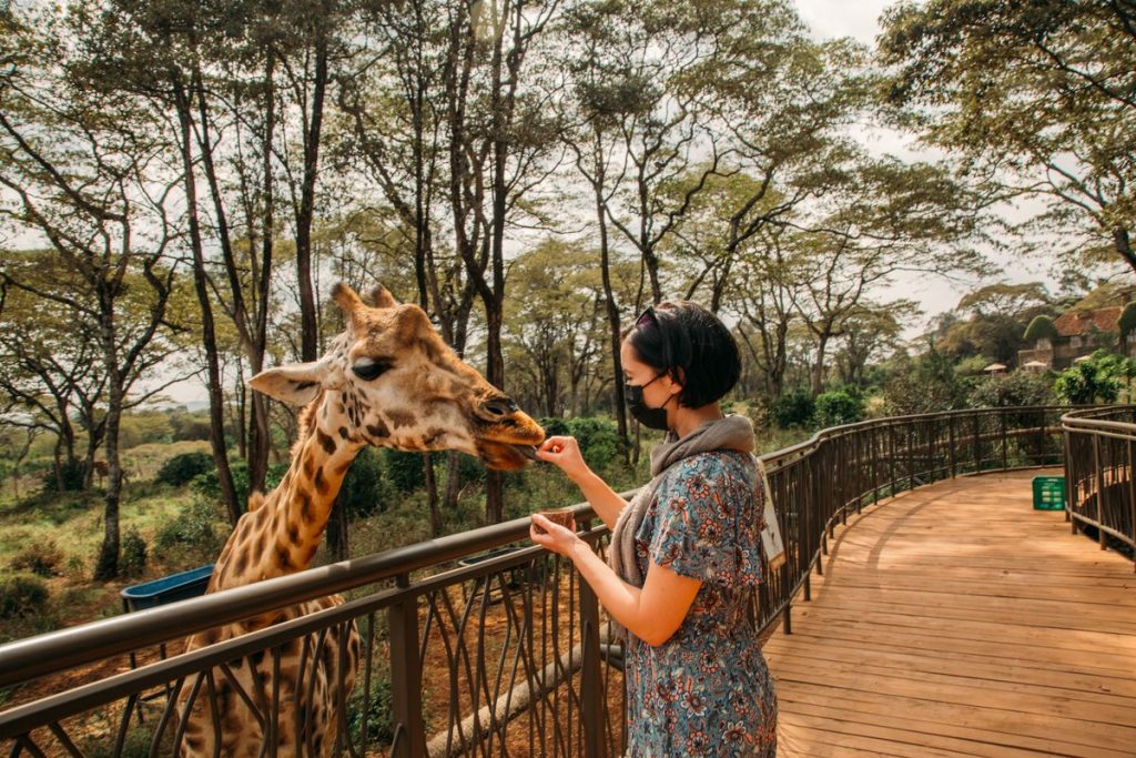 Full Day Nairobi National Park, Giraffe Centre and Karen Blixen Museum Tour