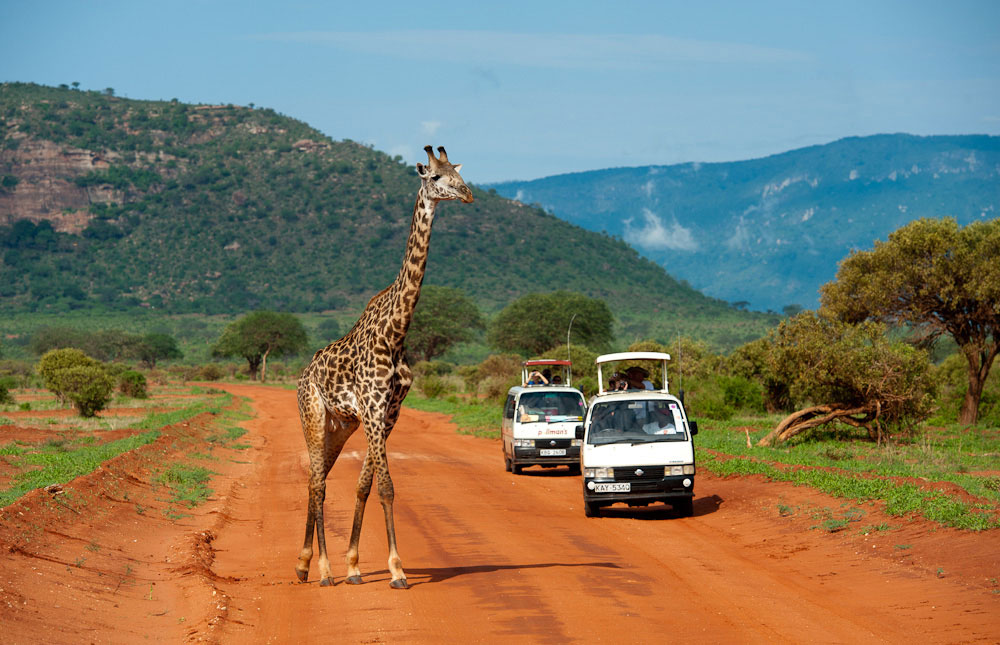 Kenya safari landscape