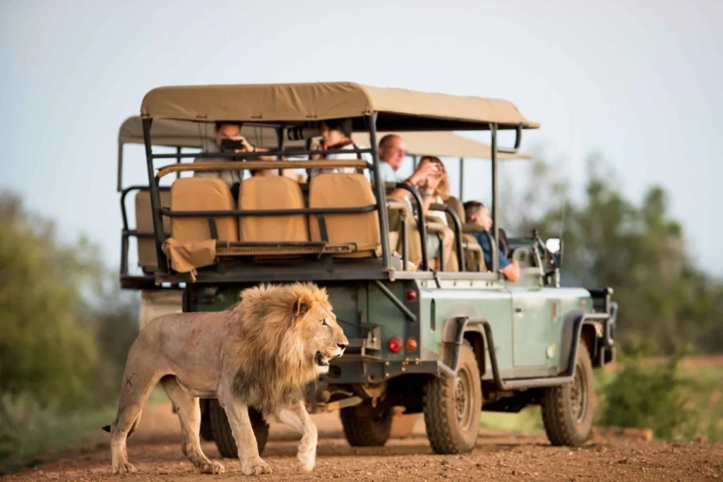 Tsavo safari planning