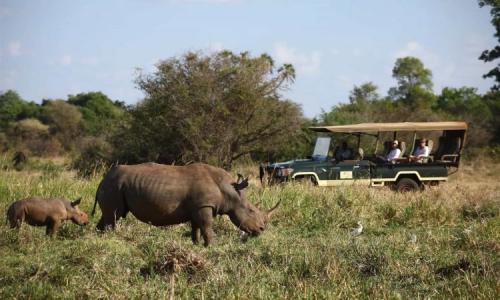 Meru National Park