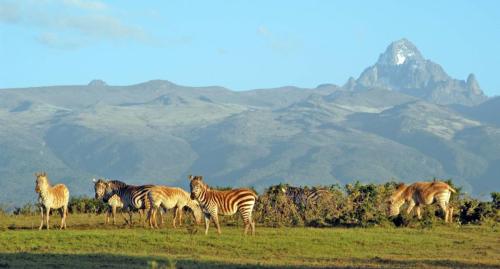 Mount-Kenya-National-Park