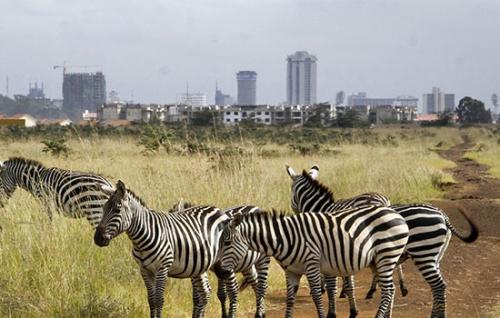 Nairobi-National-Park