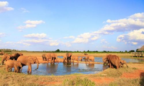 Tsavo-East-National-Park-750x450-1