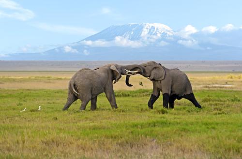 amboseli-national-park-1