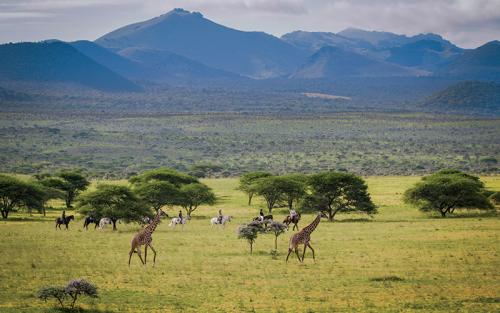 chyulu-hills-safari-lodges-ol-donyo-800x500-163